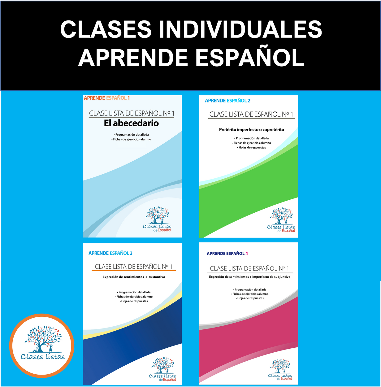 Clases Individuales Aprende Español